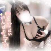 ヒメ日記 2025/07/25 19:20 投稿 リリ 石庭