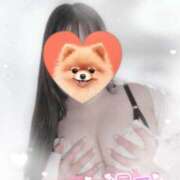 ヒメ日記 2025/07/26 10:20 投稿 リリ 石庭