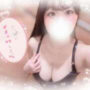 ヒメ日記 2025/07/27 14:20 投稿 リリ 石庭