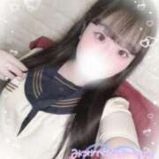 ヒメ日記 2025/07/28 09:20 投稿 リリ 石庭