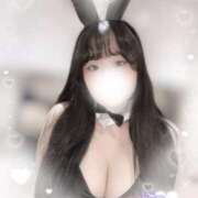 ヒメ日記 2025/07/29 13:01 投稿 リリ 石庭