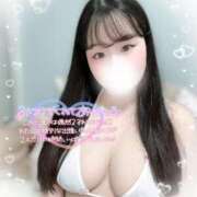 ヒメ日記 2025/07/30 10:20 投稿 リリ 石庭