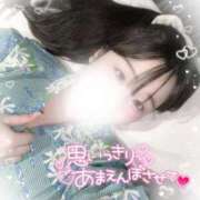 ヒメ日記 2025/07/30 12:20 投稿 リリ 石庭