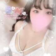 ヒメ日記 2025/07/30 16:00 投稿 リリ 石庭