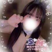 ヒメ日記 2025/08/01 10:20 投稿 リリ 石庭