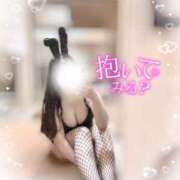 ヒメ日記 2025/08/01 19:00 投稿 リリ 石庭