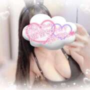 ヒメ日記 2025/08/03 10:20 投稿 リリ 石庭