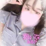 ヒメ日記 2025/08/03 14:00 投稿 リリ 石庭