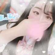 ヒメ日記 2025/08/04 12:20 投稿 リリ 石庭