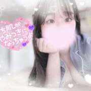 ヒメ日記 2025/08/04 19:20 投稿 リリ 石庭