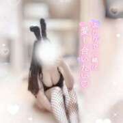 ヒメ日記 2025/08/06 12:20 投稿 リリ 石庭