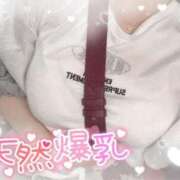 ヒメ日記 2025/08/07 10:01 投稿 リリ 石庭