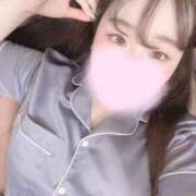 ヒメ日記 2025/08/10 13:10 投稿 リリ 石庭