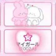 ヒメ日記 2025/08/16 15:20 投稿 リリ 石庭