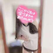 ヒメ日記 2025/10/09 09:20 投稿 リリ 石庭