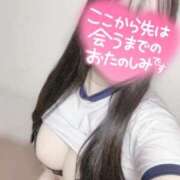 リリ おはようございます☀️ 石庭