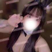 ヒメ日記 2026/01/26 09:20 投稿 リリ 石庭