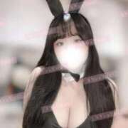 ヒメ日記 2026/01/28 16:02 投稿 リリ 石庭