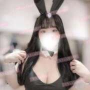 ヒメ日記 2026/02/01 23:50 投稿 リリ 石庭