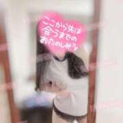 ヒメ日記 2026/02/05 15:24 投稿 リリ 石庭