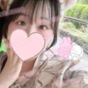 ヒメ日記 2026/02/10 11:01 投稿 リリ 石庭