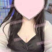 ヒメ日記 2026/02/10 13:20 投稿 リリ 石庭