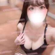 ヒメ日記 2026/02/13 16:00 投稿 リリ 石庭