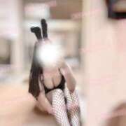 ヒメ日記 2026/02/13 19:20 投稿 リリ 石庭