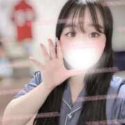 ヒメ日記 2026/02/28 16:20 投稿 リリ 石庭