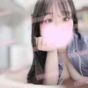 ヒメ日記 2026/03/10 14:20 投稿 リリ 石庭