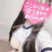 ヒメ日記 2026/04/11 22:20 投稿 リリ 石庭