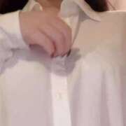 ヒメ日記 2026/04/12 21:20 投稿 リリ 石庭