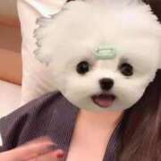 ヒメ日記 2026/04/14 21:20 投稿 リリ 石庭