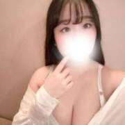 ヒメ日記 2026/09/12 12:20 投稿 リリ 石庭