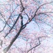 ヒメ日記 2025/04/17 09:51 投稿 かえで ちゃんこ長野塩尻北IC店