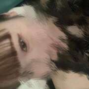 ヒメ日記 2025/05/04 15:11 投稿 かこ プロフィール 岡山店