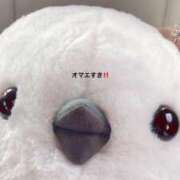 ヒメ日記 2025/05/09 09:02 投稿 かこ プロフィール 岡山店