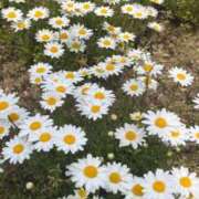 ヒメ日記 2025/05/12 07:11 投稿 かこ プロフィール 岡山店