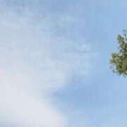 ヒメ日記 2025/07/13 11:02 投稿 かこ プロフィール 岡山店