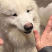 ヒメ日記 2026/03/24 07:42 投稿 かこ プロフィール 岡山店