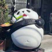 ヒメ日記 2025/09/22 12:08 投稿 いお 熟女の風俗最終章 池袋店