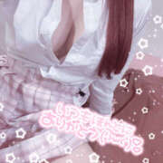 ヒメ日記 2025/04/05 09:46 投稿 こむぎ 2980円