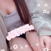 ヒメ日記 2025/04/12 11:10 投稿 こむぎ 2980円