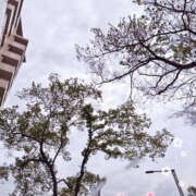 ヒメ日記 2025/04/22 07:36 投稿 こむぎ 2980円