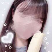 ヒメ日記 2025/04/28 09:16 投稿 こむぎ 2980円