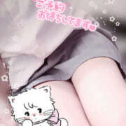 ヒメ日記 2025/04/29 21:26 投稿 こむぎ 2980円