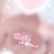 ヒメ日記 2025/05/19 19:23 投稿 こむぎ 2980円