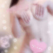 ヒメ日記 2025/05/20 20:33 投稿 こむぎ 2980円