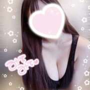 ヒメ日記 2025/05/23 14:05 投稿 こむぎ 2980円