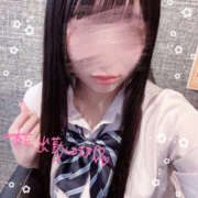 ヒメ日記 2025/05/30 10:26 投稿 こむぎ 2980円